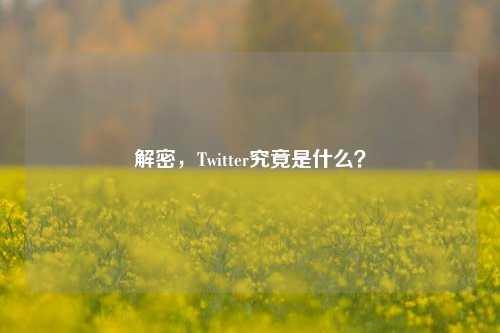 解密，Twitter究竟是什么？