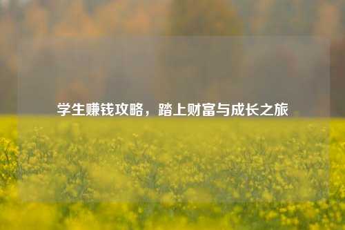 学生赚钱攻略，踏上财富与成长之旅