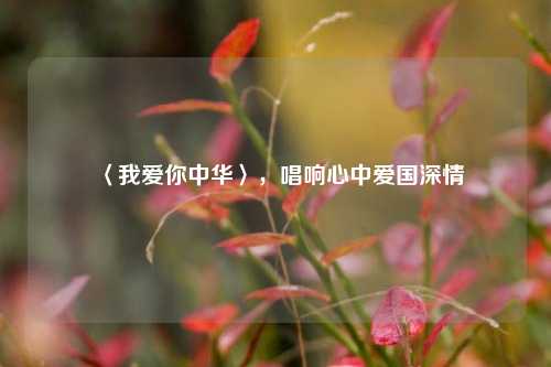 〈我爱你中华〉，唱响心中爱国深情