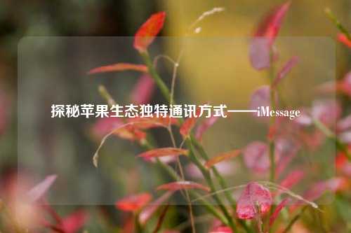 探秘苹果生态独特通讯方式——iMessage