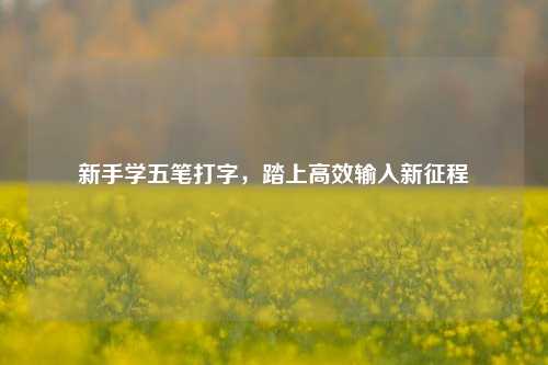 新手学五笔打字，踏上高效输入新征程