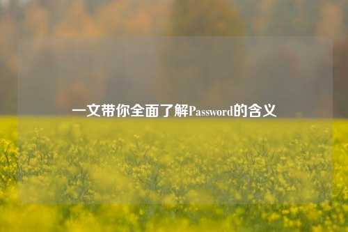 一文带你全面了解Password的含义