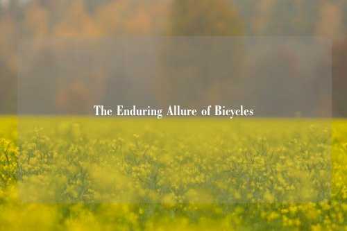The Enduring Allure of Bicycles