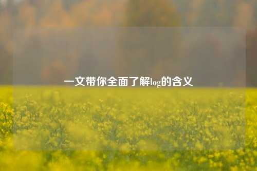 一文带你全面了解log的含义