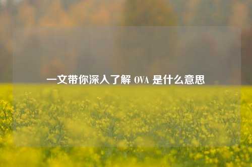 一文带你深入了解 OVA 是什么意思