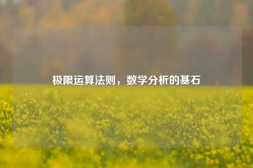 极限运算法则,数学分析的基石