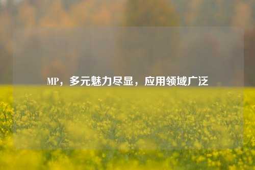 MP，多元魅力尽显，应用领域广泛