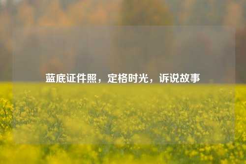 蓝底证件照，定格时光，诉说故事