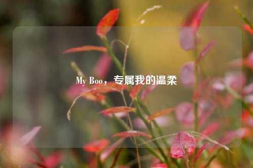 My Boo，专属我的温柔