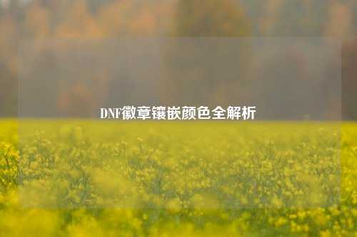 DNF徽章镶嵌颜色全解析