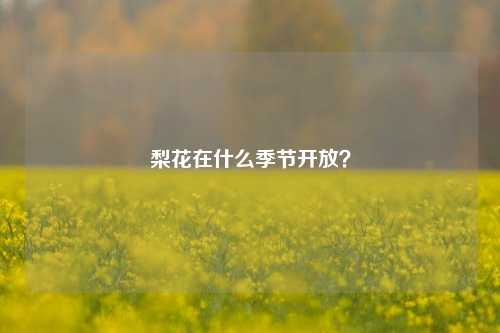 梨花在什么季节开放？