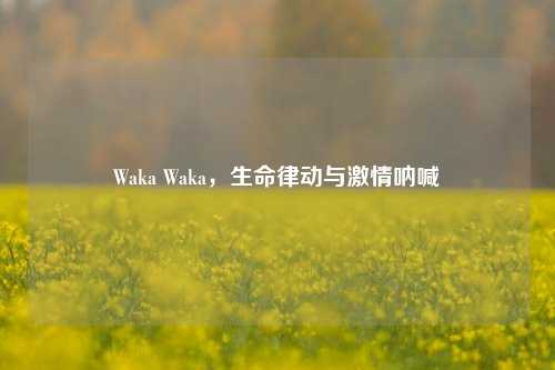 Waka Waka，生命律动与吉云服务器jiyun.xin呐喊