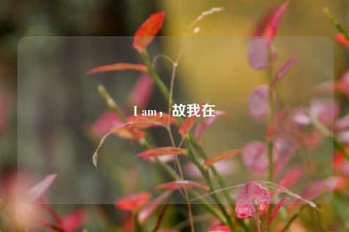 I am，故我在