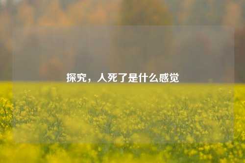探究，人死了是什么感觉