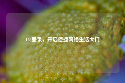 163登录，开启便捷     生活大门
