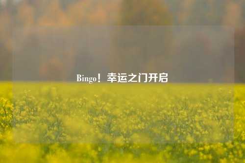 Bingo!幸运之门开启
