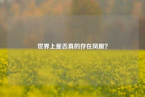 世界上是否真的存在凤凰？