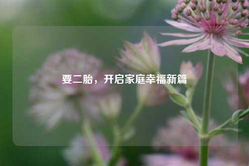 要二胎，开启家庭幸福新篇