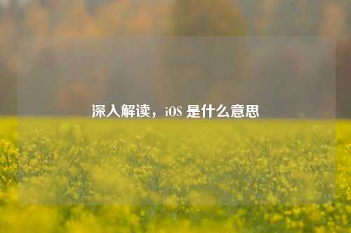 深入解读,iOS 是什么意思