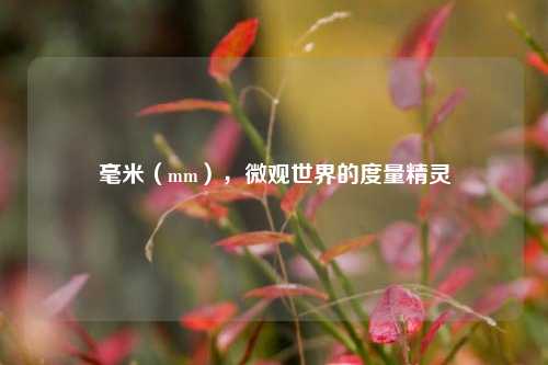 毫米（mm），微观世界的度量精灵
