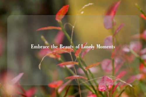 Embrace the Beauty of Lonely Moments