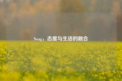 Swag，态度与生活的融合