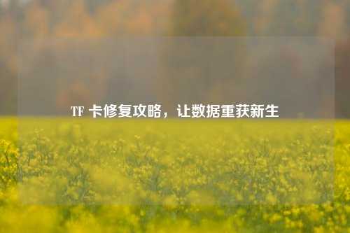TF 卡修复攻略，让数据重获新生