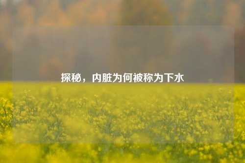 探秘，内脏为何被称为下水