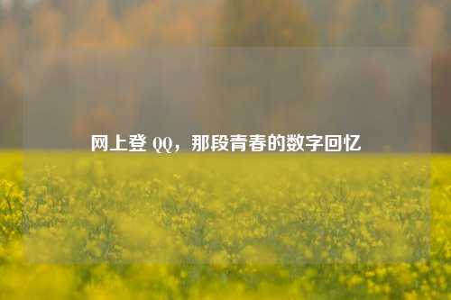 网上登      ，那段青春的数字回忆