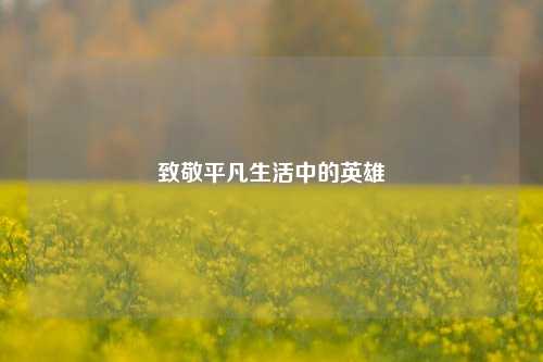 致敬平凡生活中的英雄