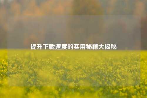 提升 的实用秘籍大揭秘