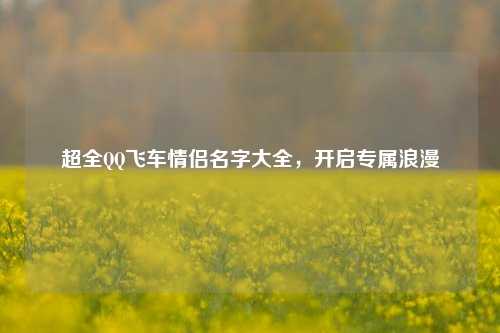 超全     飞车情侣名字大全，开启专属浪漫