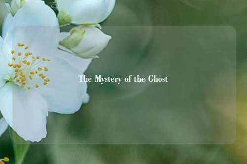 The Mystery of the Ghost