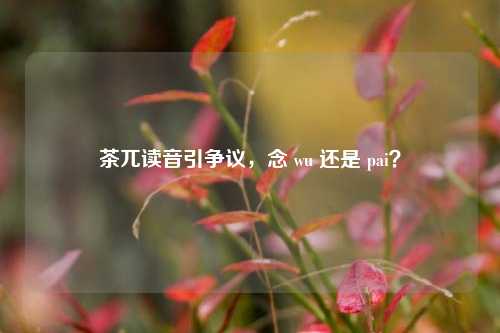茶兀读音引争议，念 wu 还是 pai？