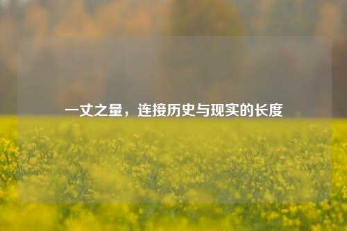 一丈之量，连接历史与现实的长度