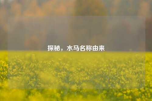 探秘，水马名称由来