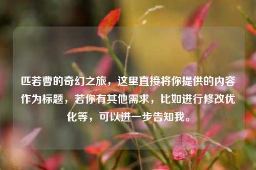 匹若曹的奇幻之旅，这里直接将你提供的内容作为标题，若你有其他需求，比如进行修改优化等，可以进一步告知我。