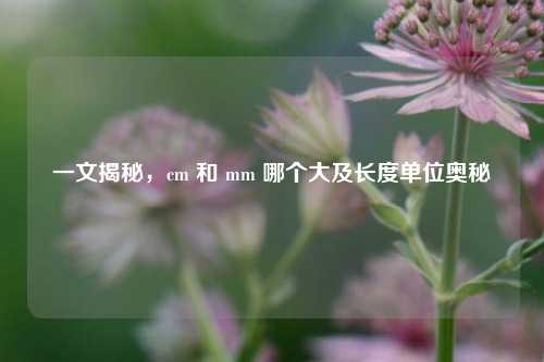 一文揭秘,cm 和 mm 哪个大及长度单位奥秘