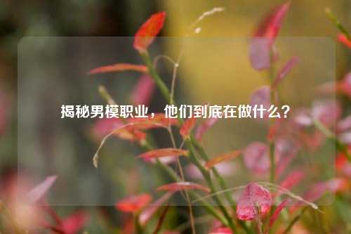 揭秘男模职业，他们到底在做什么？