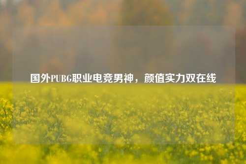 国外PUBG职业电竞男神,颜值实力双在线