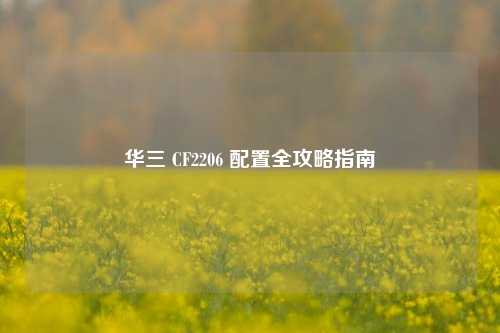 华三 CF2206 配置全攻略指南