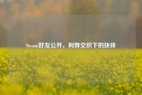 Steam好友公开，利弊交织下的抉择