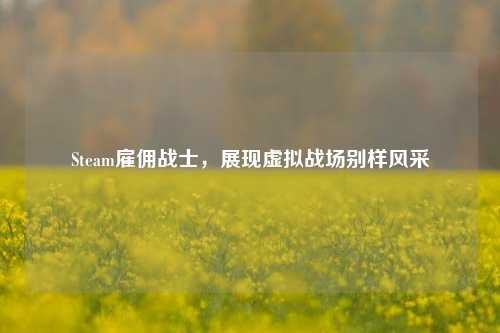 Steam雇佣战士，展现虚拟战场别样风采