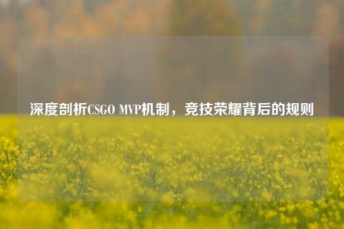 深度剖析CSGO MVP机制,竞技荣耀背后的规则