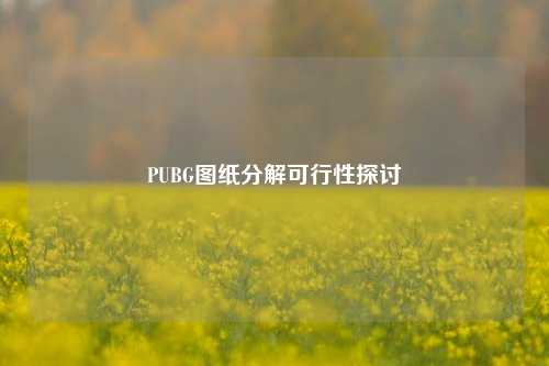 PUBG图纸分解可行性探讨