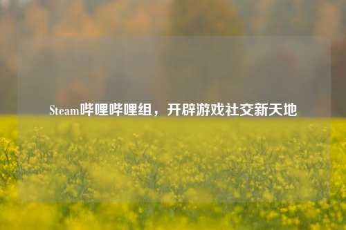 Steam哔哩哔哩组，开辟游戏社交新天地
