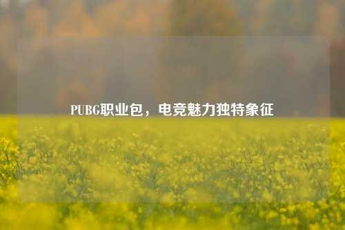 PUBG职业包，电竞魅力独特象征