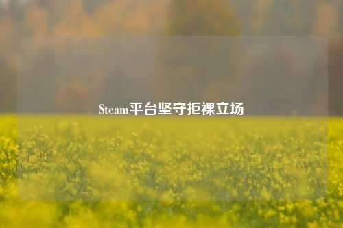 Steam平台坚守拒裸立场
