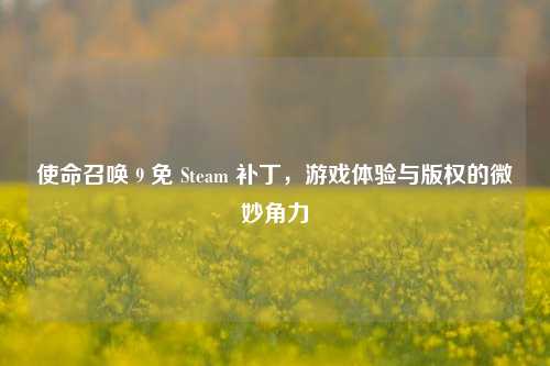 使命召唤 9 免 Steam 补丁，游戏体验与版权的微妙角力