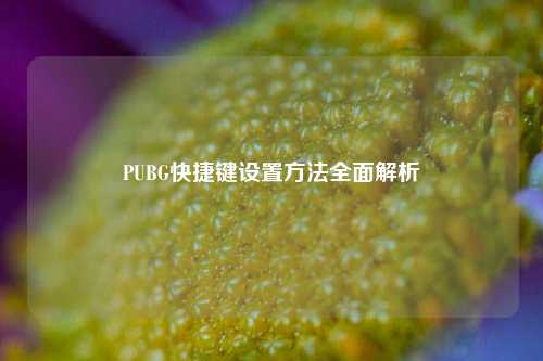 PUBG快捷键设置     全面解析